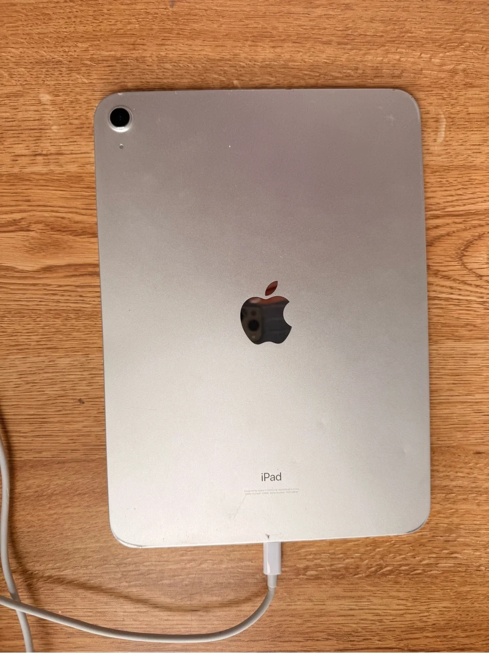 Apple iPad in Silver Finish